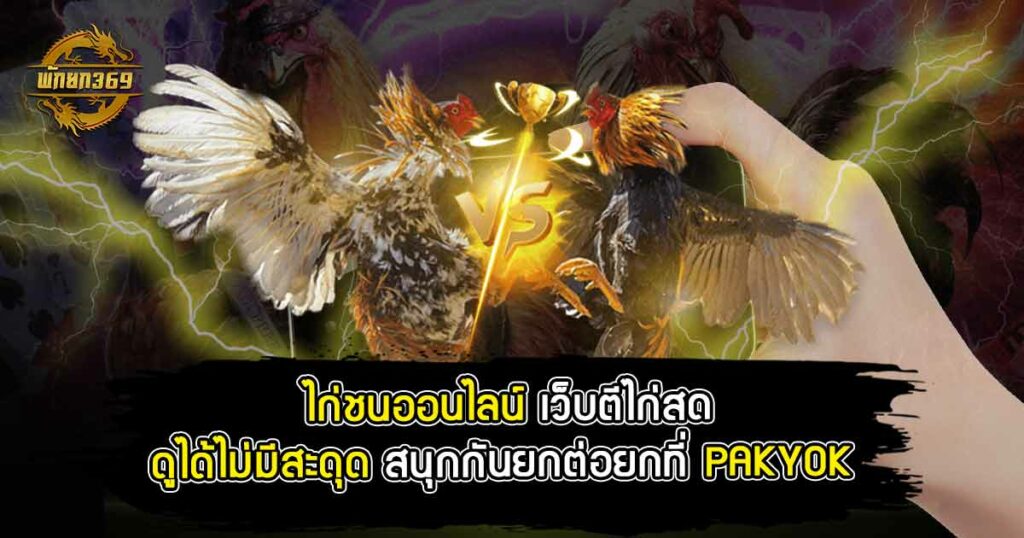 ไก่ชนออนไลน์