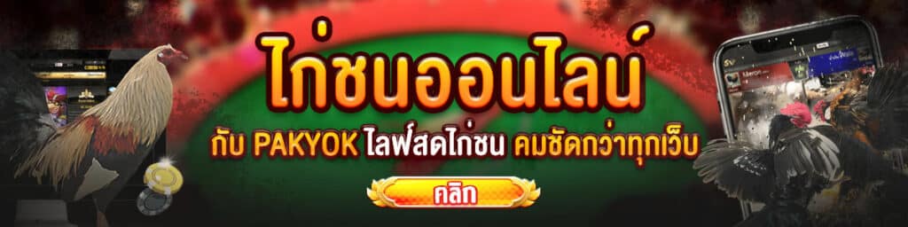 ไลฟ์สดไก่ชน