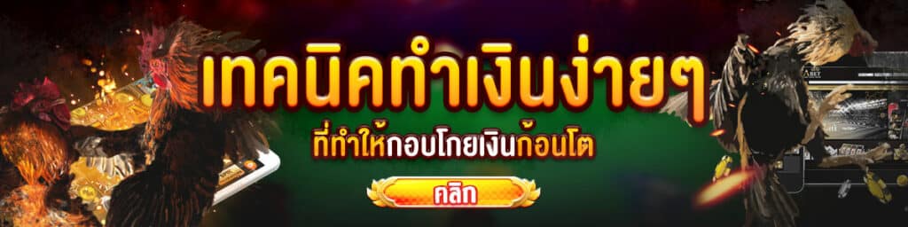 ไลฟ์สดไก่ชน