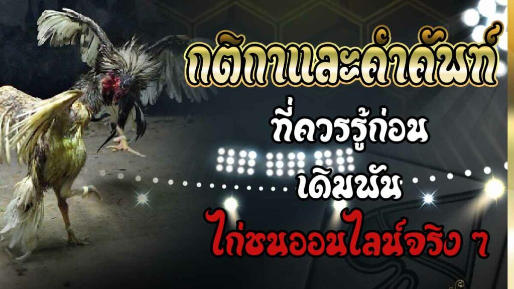 ตีไก่