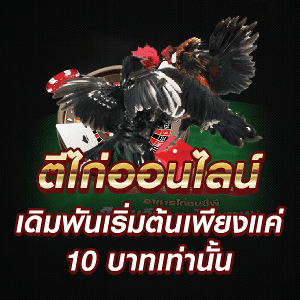 ตีไก่