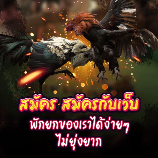 ไลฟ์สดไก่ชน