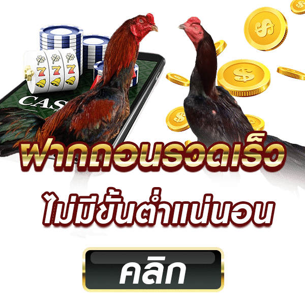 พนันไก่ชนออนไลน์