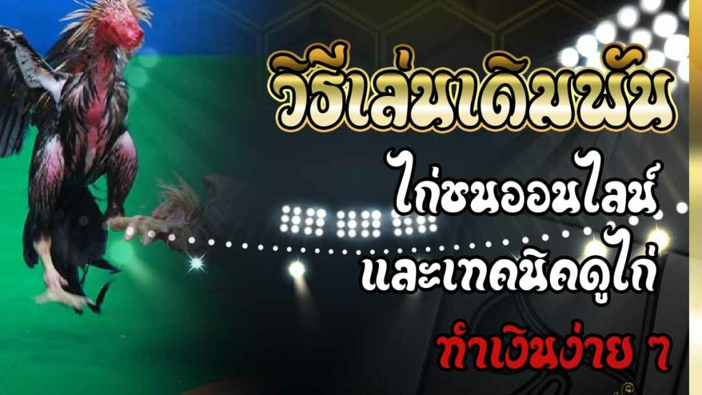 ไก่ชนออนไลน์สด