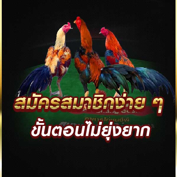 ไก่ชนออนไลน์สด