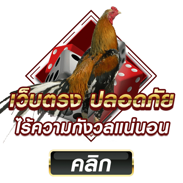 ตีไก่