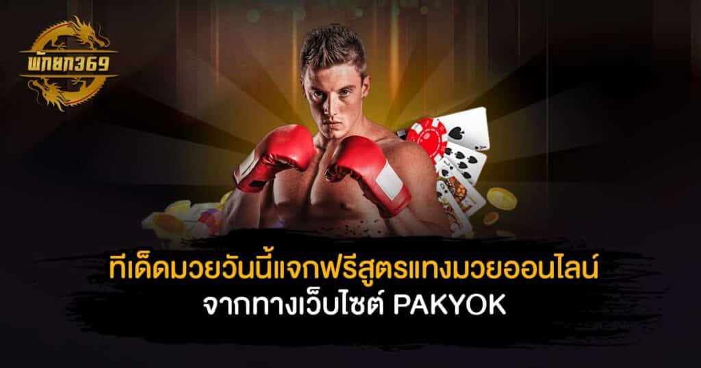 ทีเด็ด มวย วัน นี้ แจกฟรีสูตรแทงมวยออนไลน์จากทางเว็บไซต์ PAKYOK