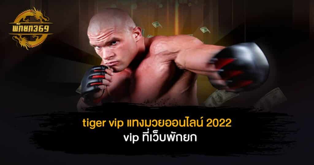 tiger vip แทงมวยออนไลน์ 2022 vip ที่เว็บพักยก