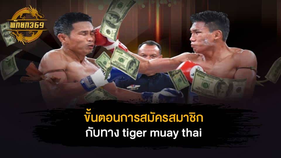 ขั้นตอนและวิธีในการเข้ามารับชมการแข่งขัน tiger muay thai