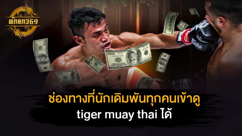 ช่องทางที่นักเดิมพันทุกคนเข้าดู tiger muay thai ได้