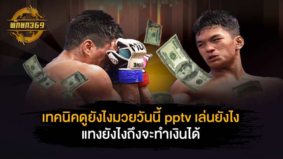 มวยวันนี้ pptv